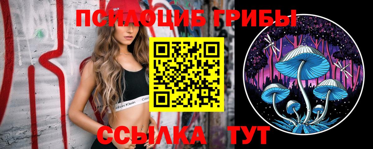Галлюциногенные грибы мухоморы  Вход с VPN  купить  сайты  Галлюциногенные грибы мухоморы  Курганинск 