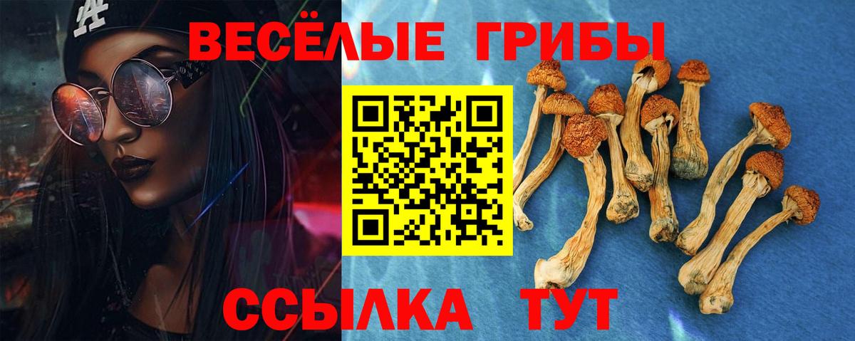 Псилоцибиновые грибы GOLDEN TEACHER Курганинск